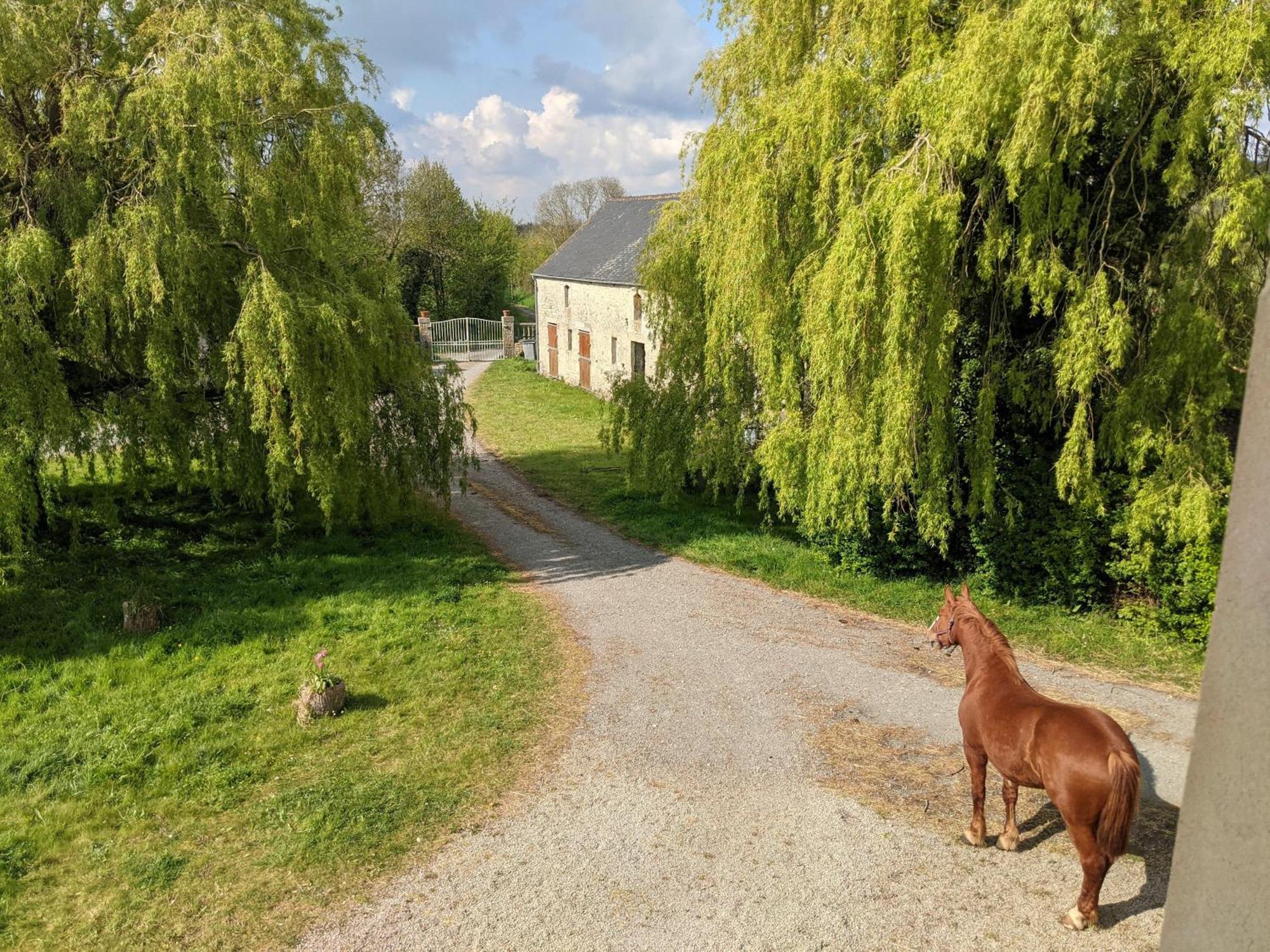 Ferme De Franqueville Sainte-Marie-du-Mont  Eksteriør bilde
