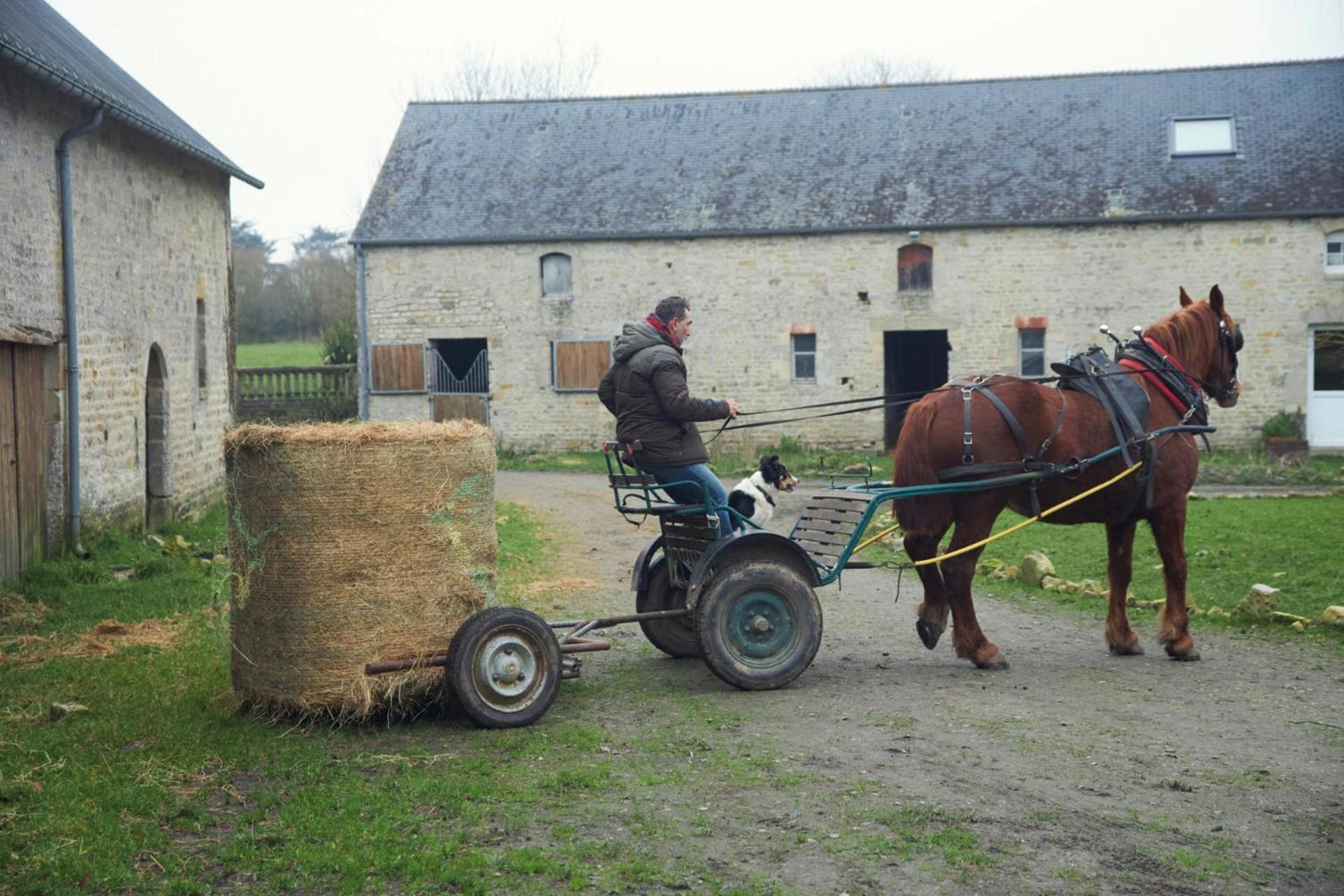 Ferme De Franqueville Sainte-Marie-du-Mont  Eksteriør bilde